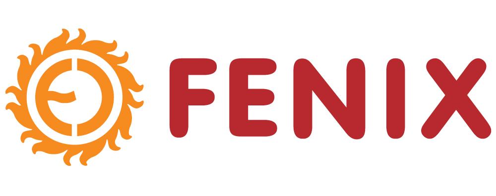 fenix-academy
